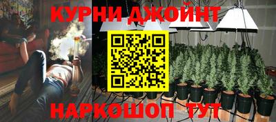 индика Мариинск
