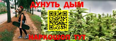 индика Мариинск