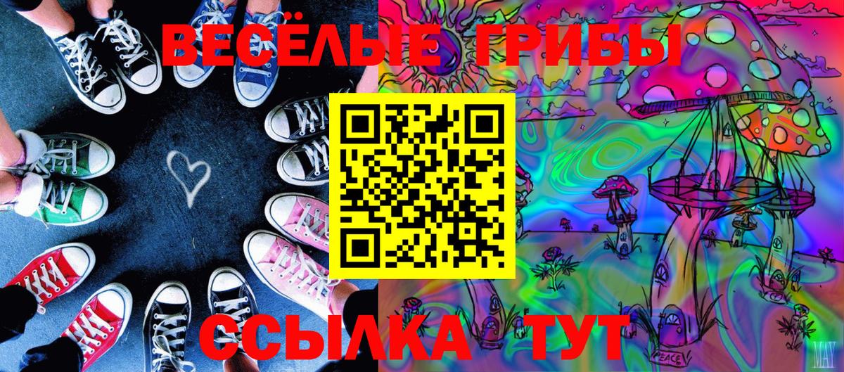 Псилоцибиновые грибы прущие грибы Великий Новгород