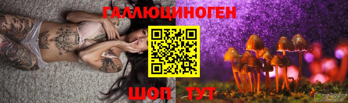 Псилоцибиновые грибы Psilocybine cubensis  Галлюциногенные грибы мухоморы  Великий Новгород  Вход с VPN 