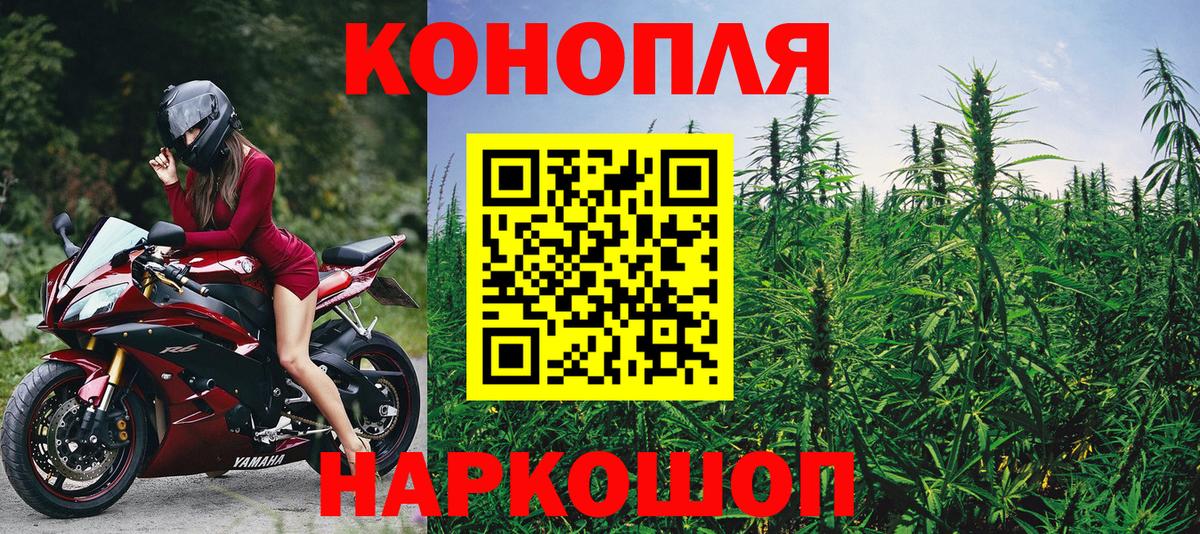 Конопля ГИДРОПОН Великий Новгород